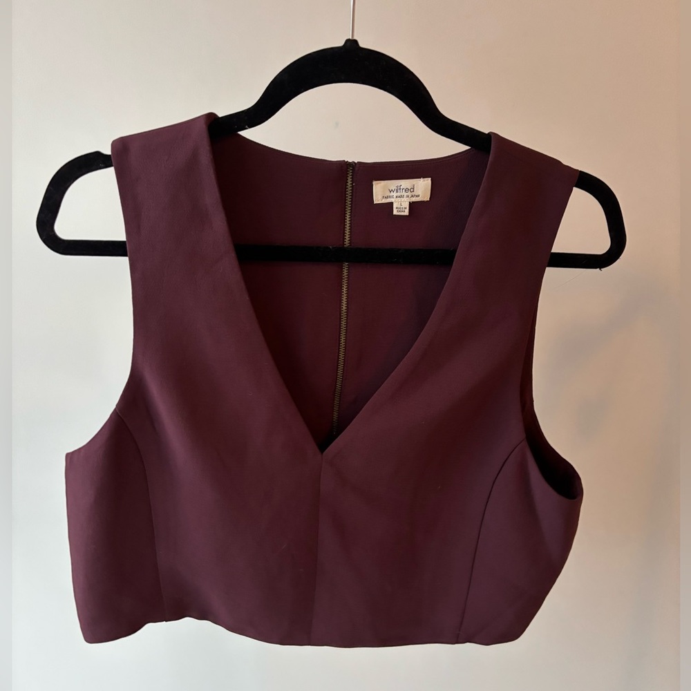Wilfred Deep Burgundy Crop Top